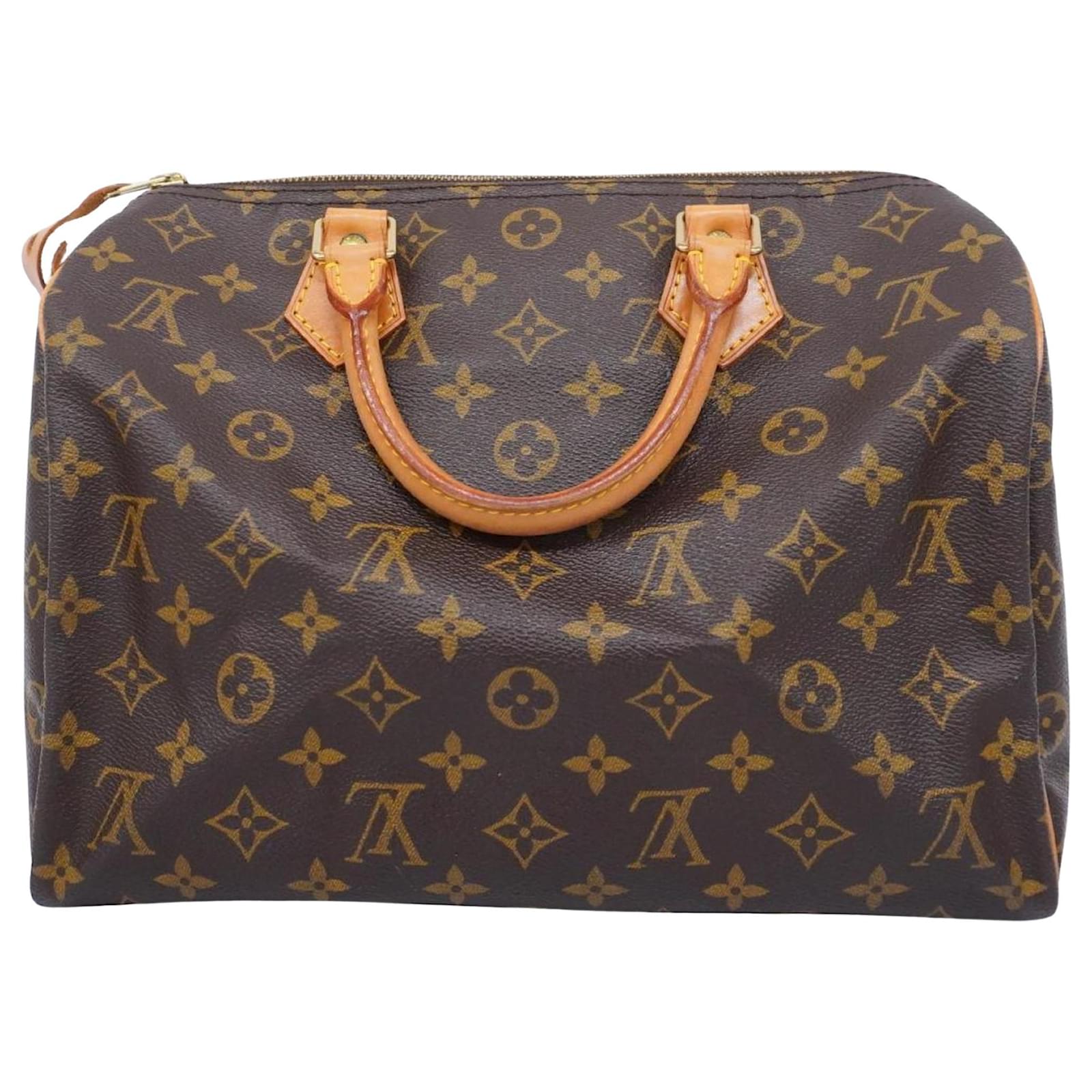 Louis Vuitton Speedy 30 Brown Cloth ref.1524662 - Joli Closet