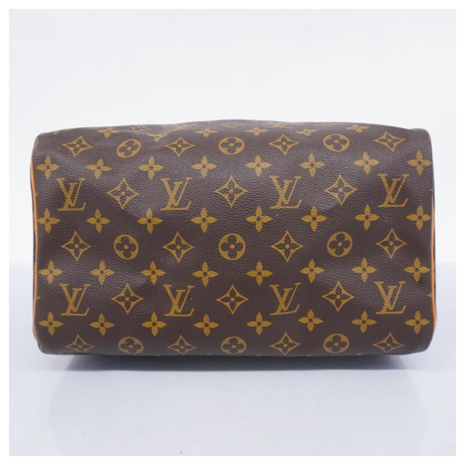 Louis Vuitton Speedy 30 Brown Cloth ref.1524662 - Joli Closet