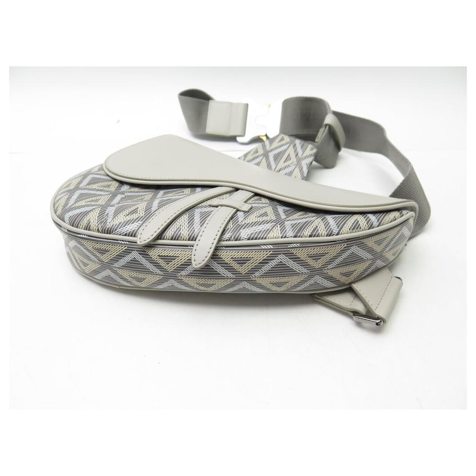 Christian Dior NINE DIOR SADDLE MEN'S HAND BAG CANVAS CD DIAMOND