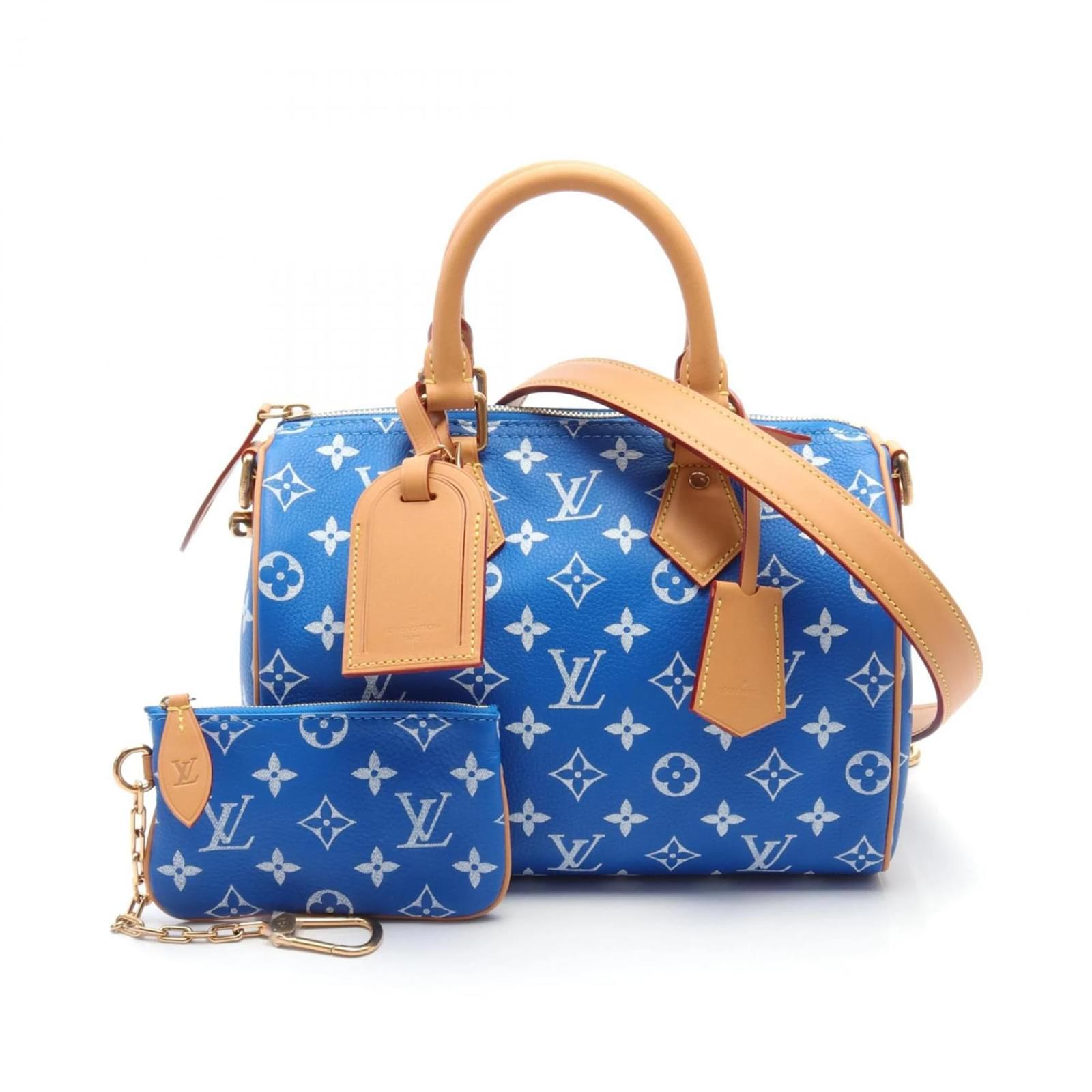 【25SS /SKY BLUE】Louis Vuitton ショルダーバッグ PULSE WW s-l1200.jpg