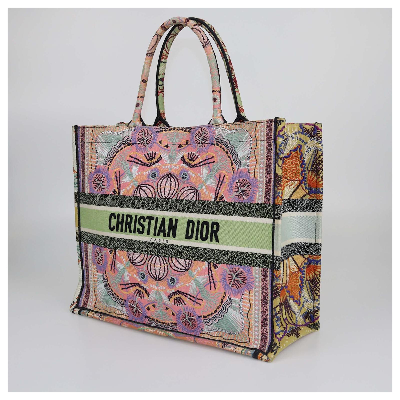 Christian Dior Multicolor Embroidered Large In Lights Book Tote