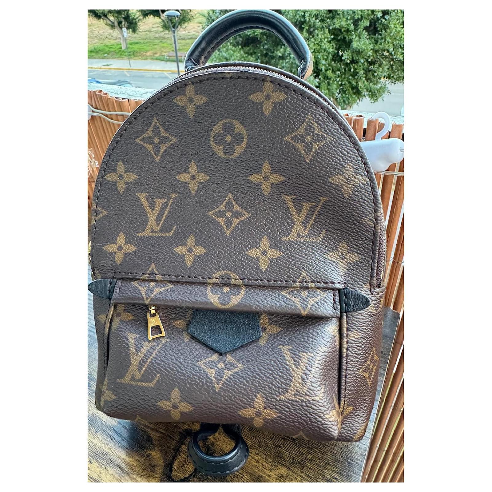 dhgate palm springs backpack mini Louis Vuitton Reverse Backpack Coco Approved Studio monogram print How to Tell A Real