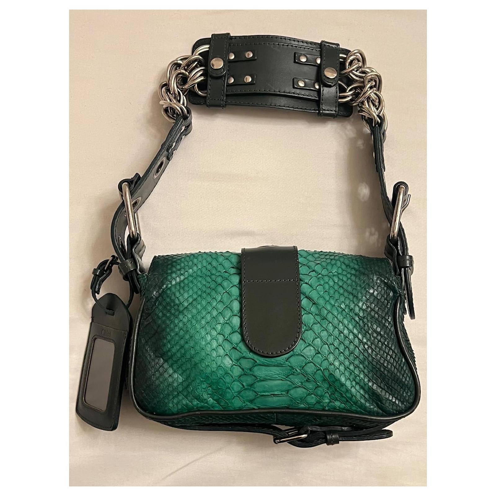 Chloé Limited Edition Python Mini Chain Bag by Phoebe Philo Green