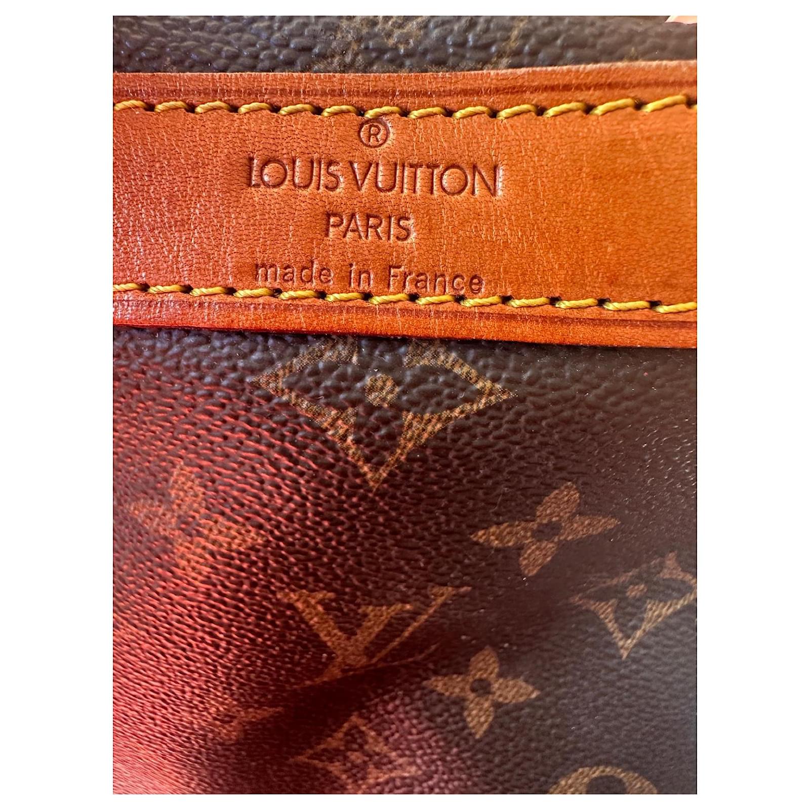 Keepall Louis Vuitton dog bag Brown Cloth  ref.2001867