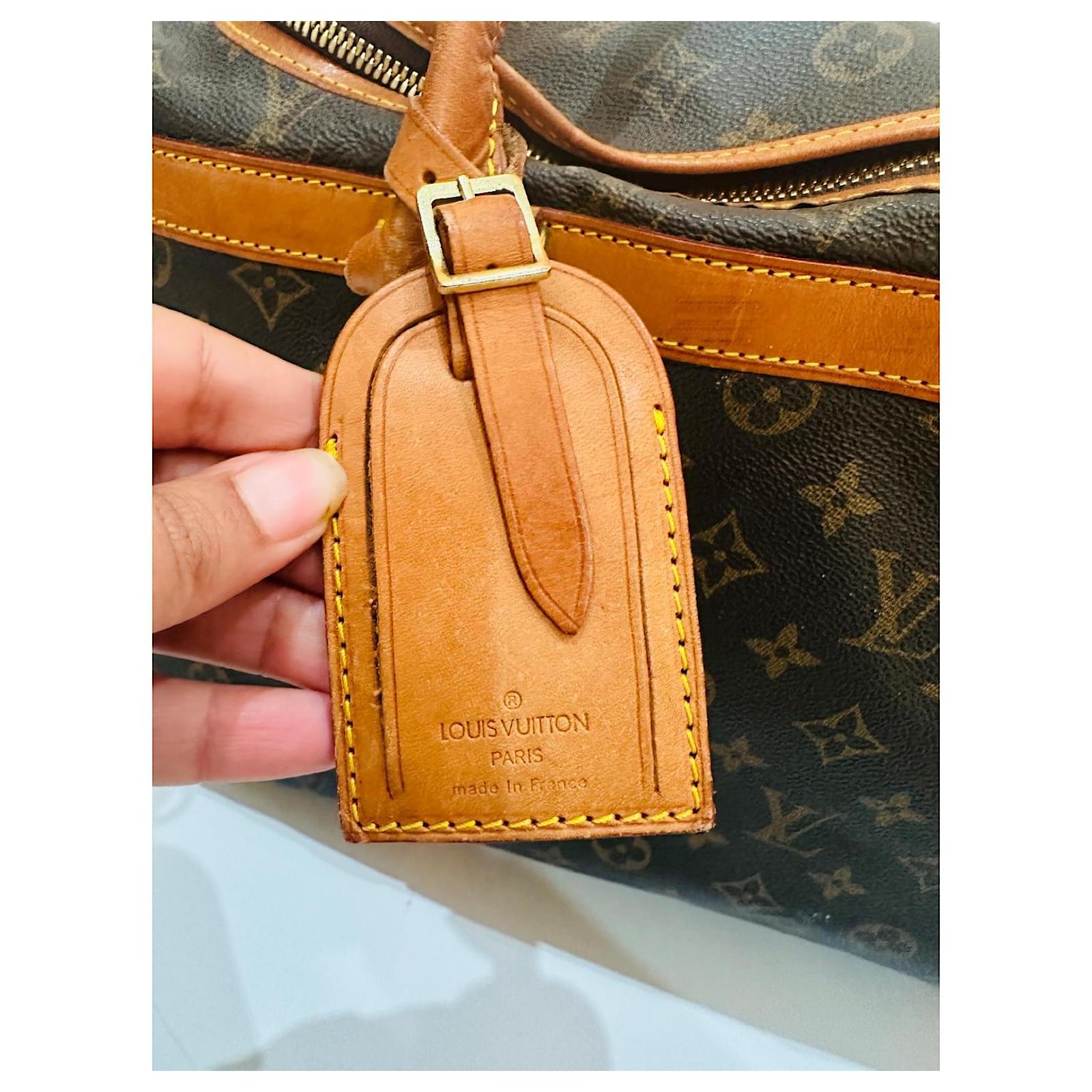 Keepall Louis Vuitton dog bag Brown Cloth  ref.2001867