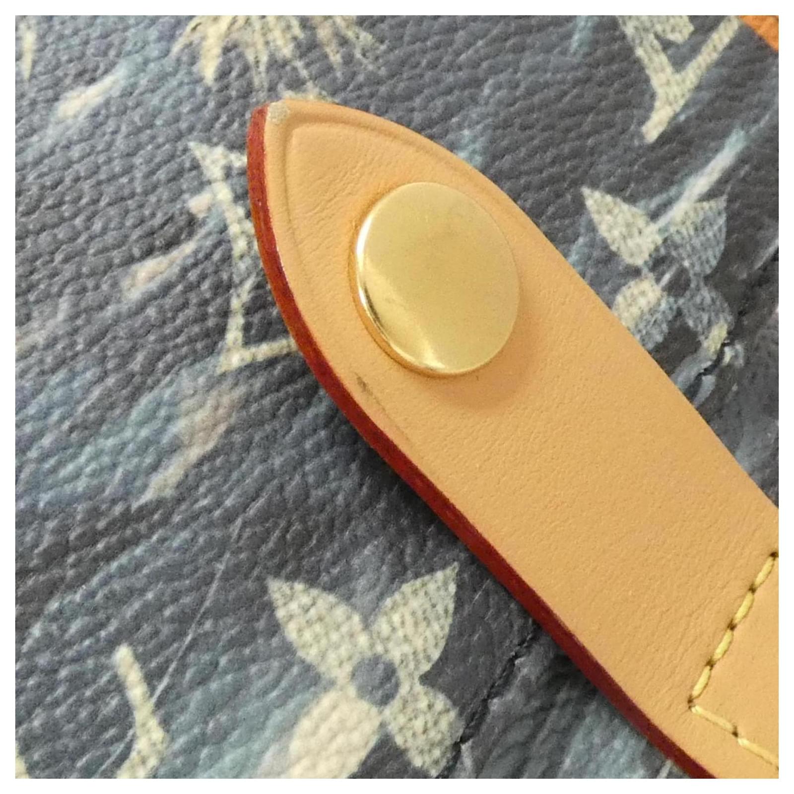 Louis Vuitton Monogram Surfing Christopher MM Backpack Navy blue Cloth ref.2013125