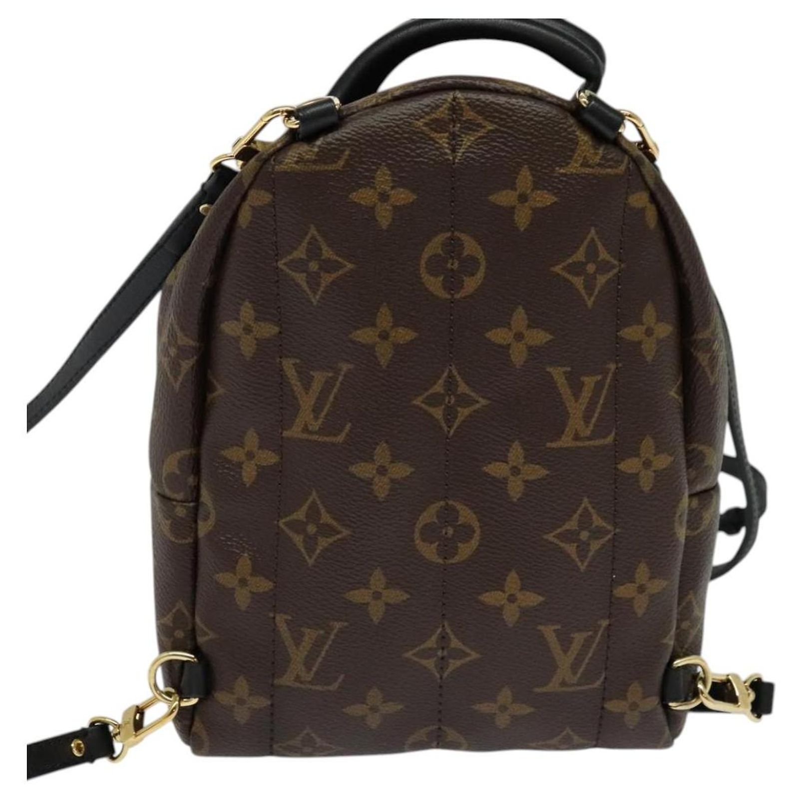 Louis Vuitton Palm Springs Mini Backpack in Monogram M41562 Louis Vuitton Palm Springs Backpack Mini M41562– TC main image 3