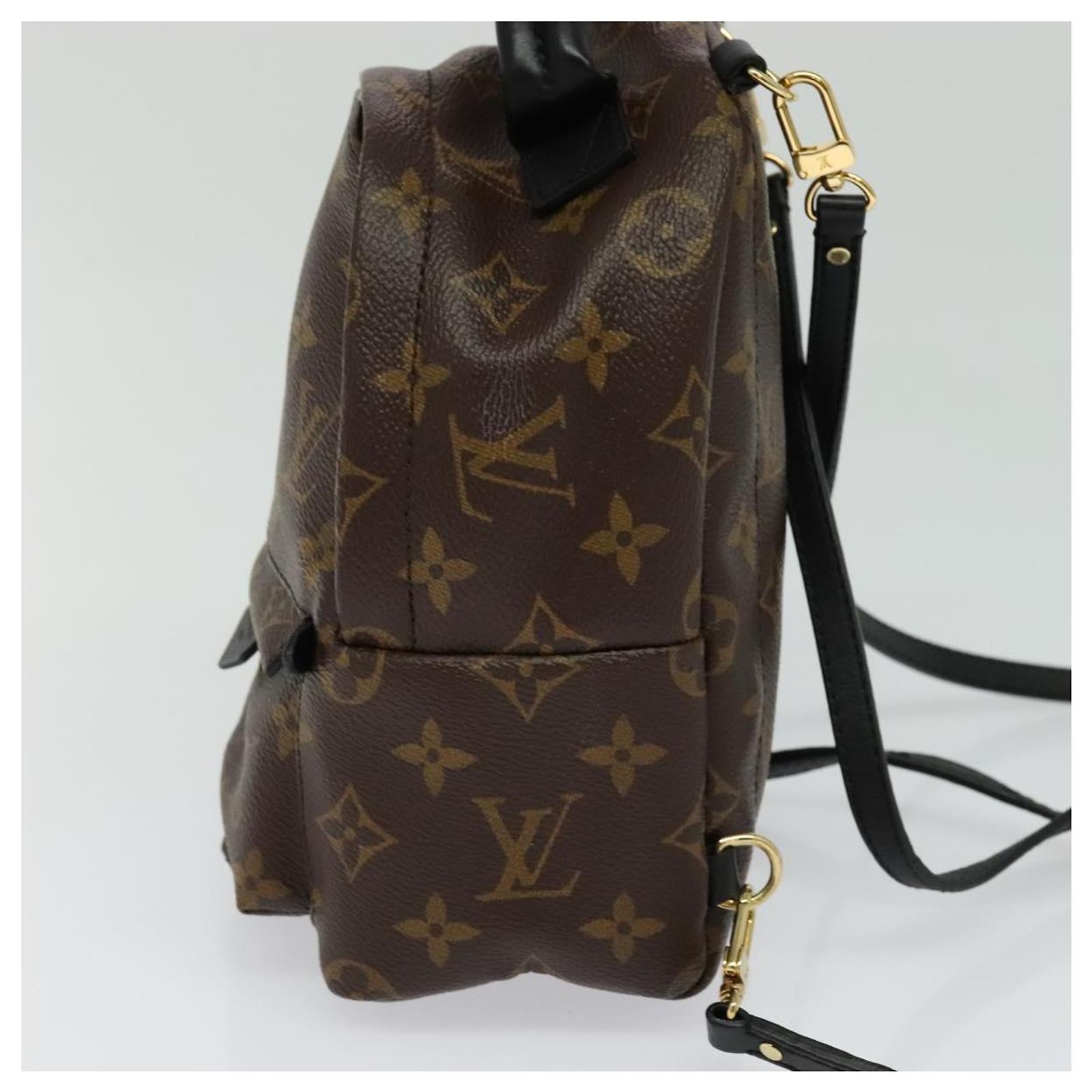 LOUIS VUITTON Monogram Palm Springs MINI Backpack M41562 LV  display picture 2