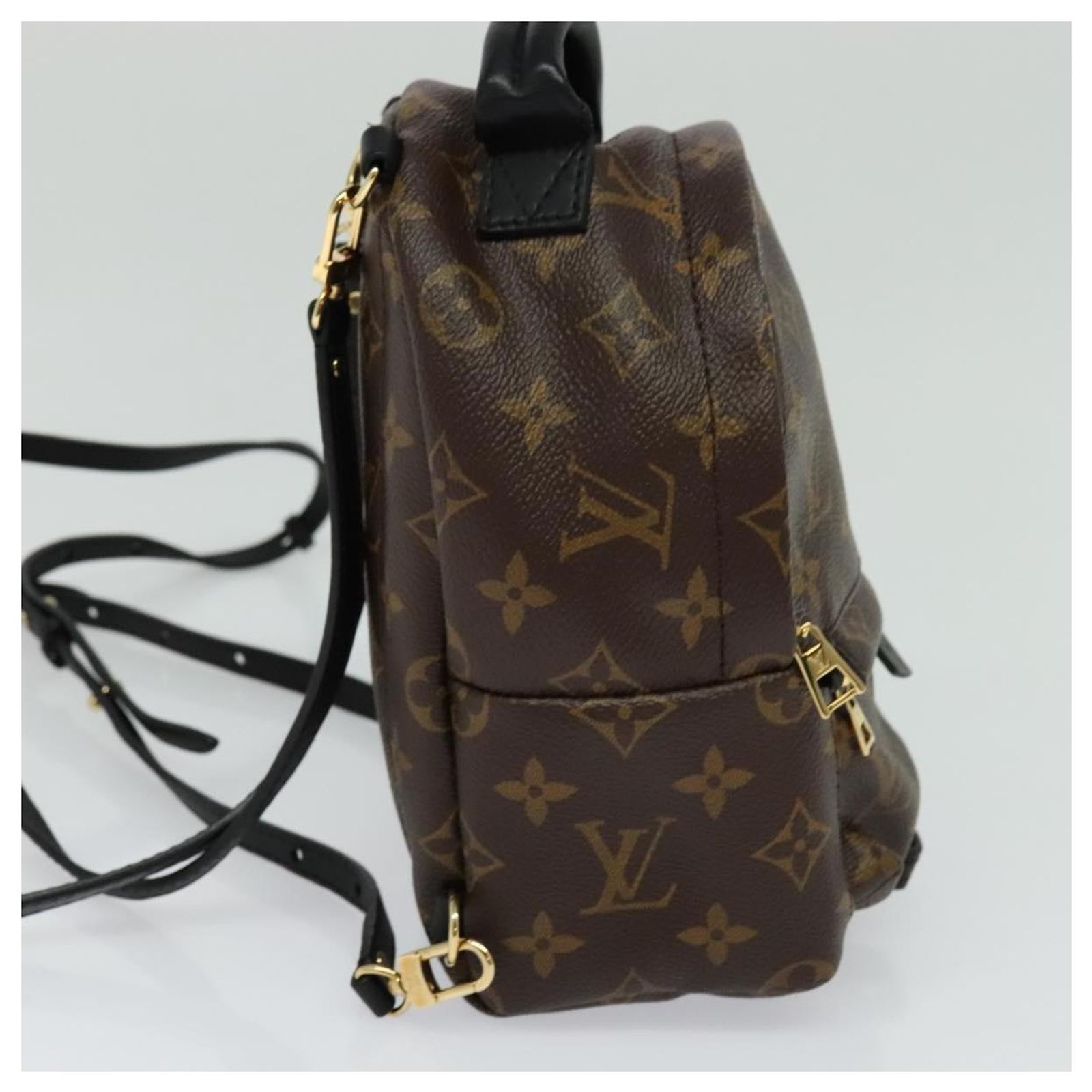 LOUIS VUITTON Monogram Palm Springs MINI Backpack M41562 LV  display picture 1