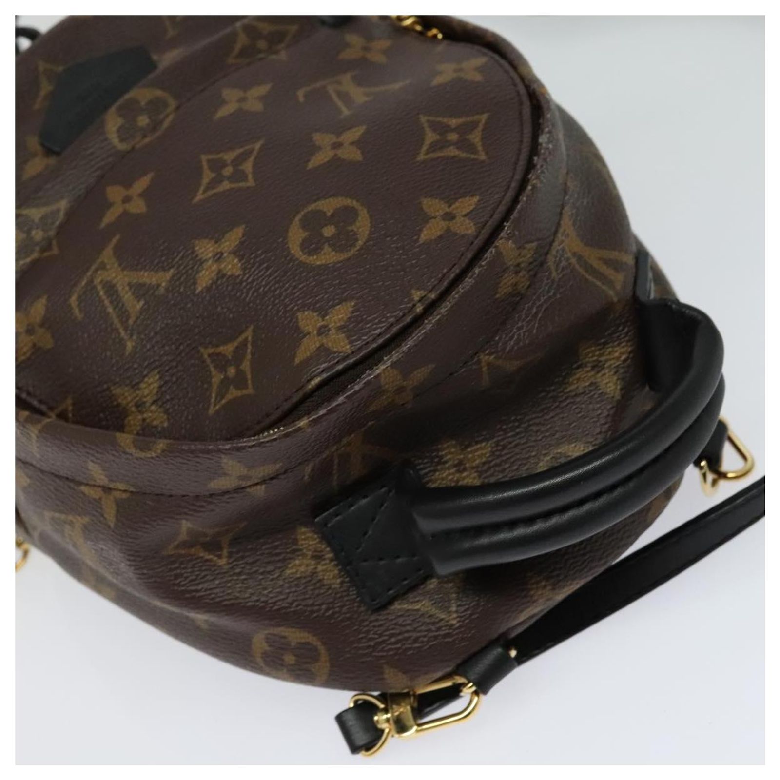 Louis Vuitton Palm Springs Mini Backpack in Monogram M41562 Louis Vuitton Palm Springs Backpack Mini M41562– TC main image 4