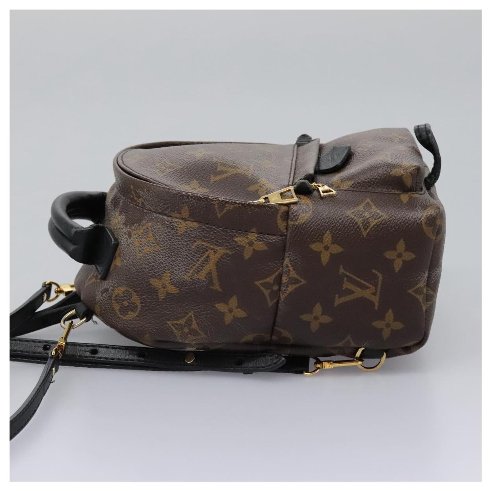 LOUIS VUITTON Monogram Palm Springs MINI Backpack M41562 LV  display picture 1