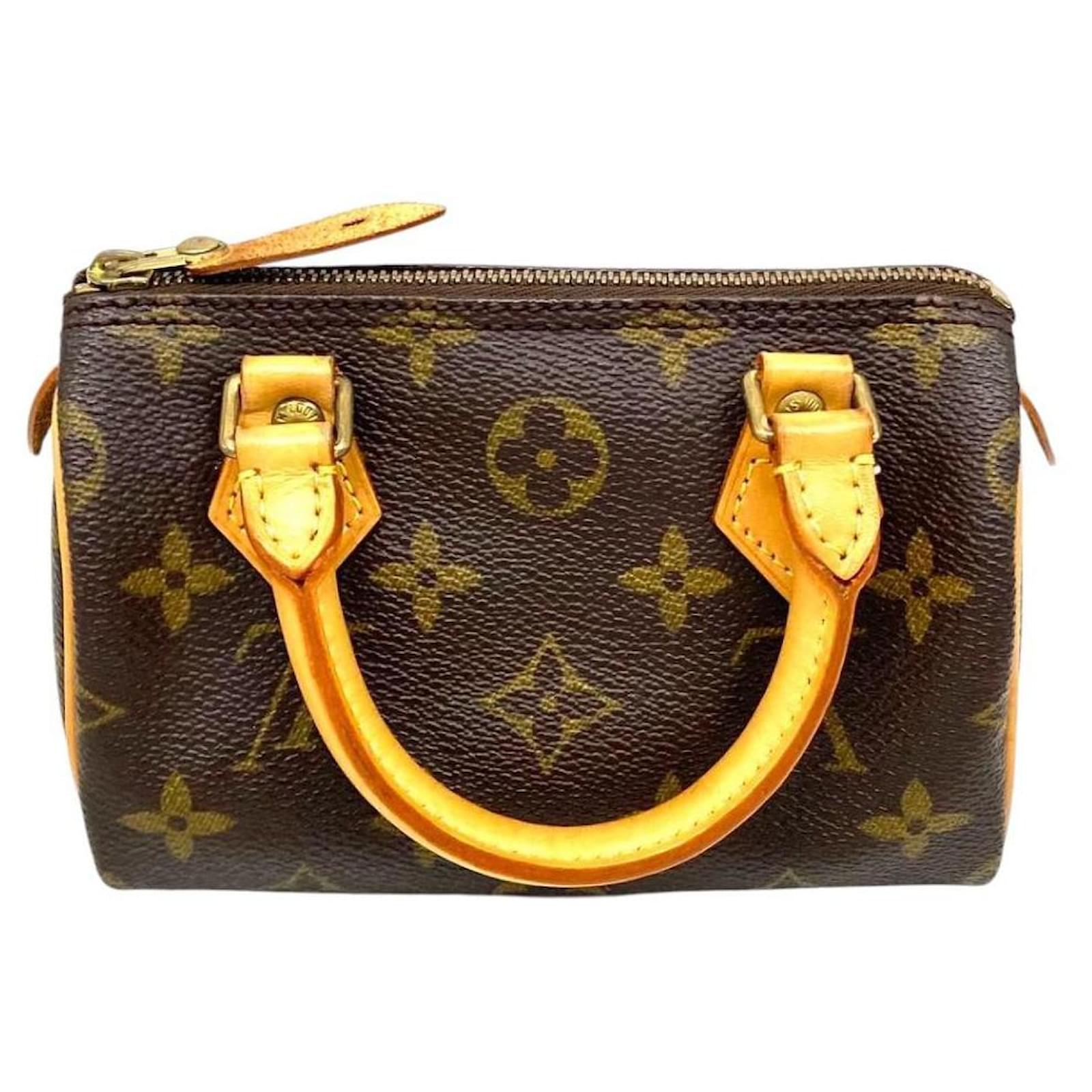 Louis Vuitton bag Brown Leather ref.2157154 - Joli Closet