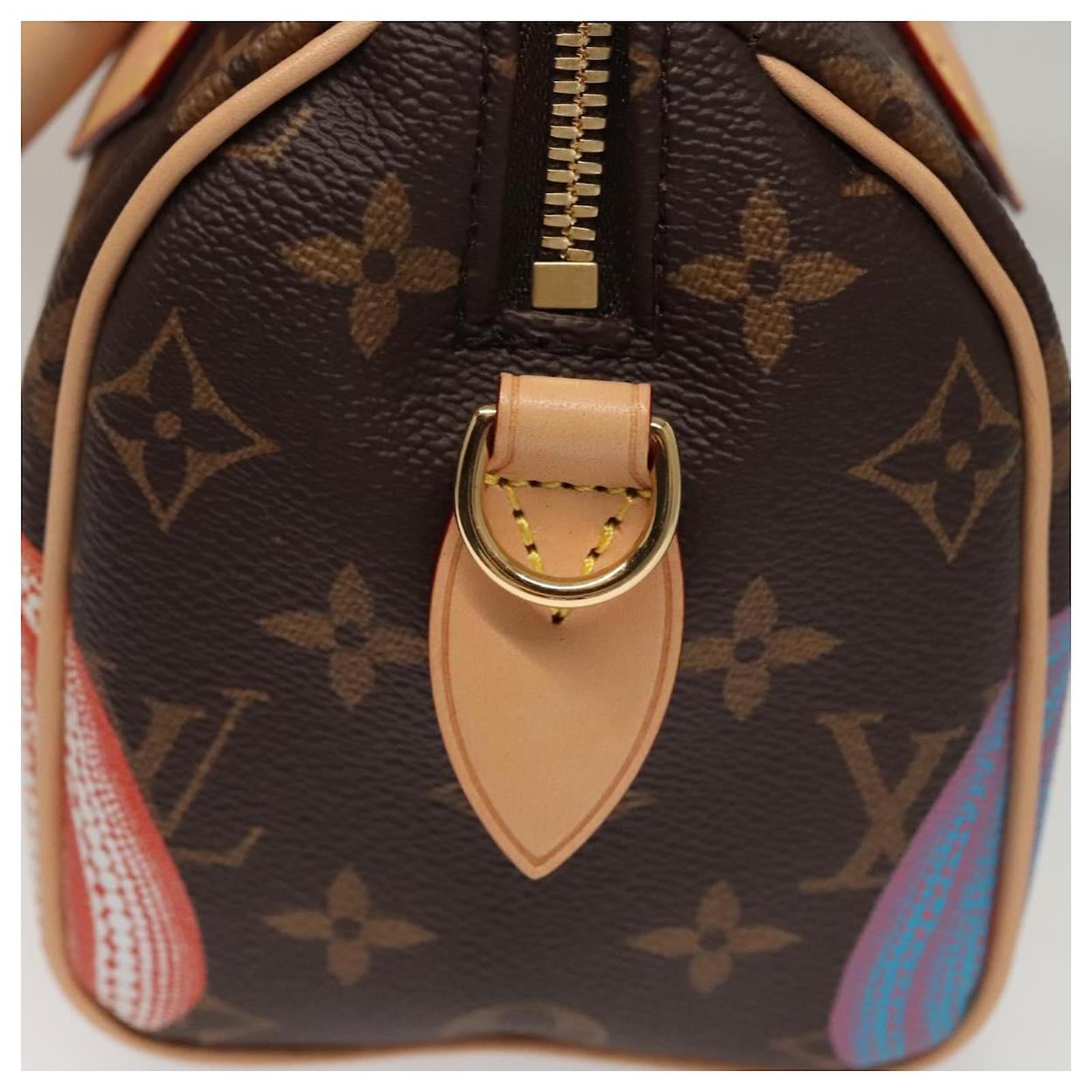 Louis Vuitton バック Pre-Owned Yayoi Kusama x Louis Vuitton Red Monogram Dots