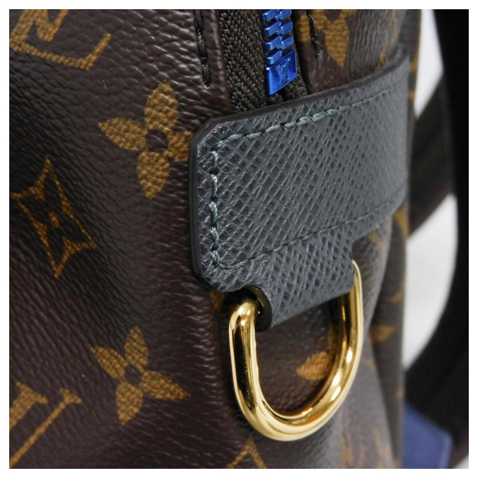 Louis Vuitton Apollo Backpack Brown Blue Monogram Leather Patent leather ref.2209075