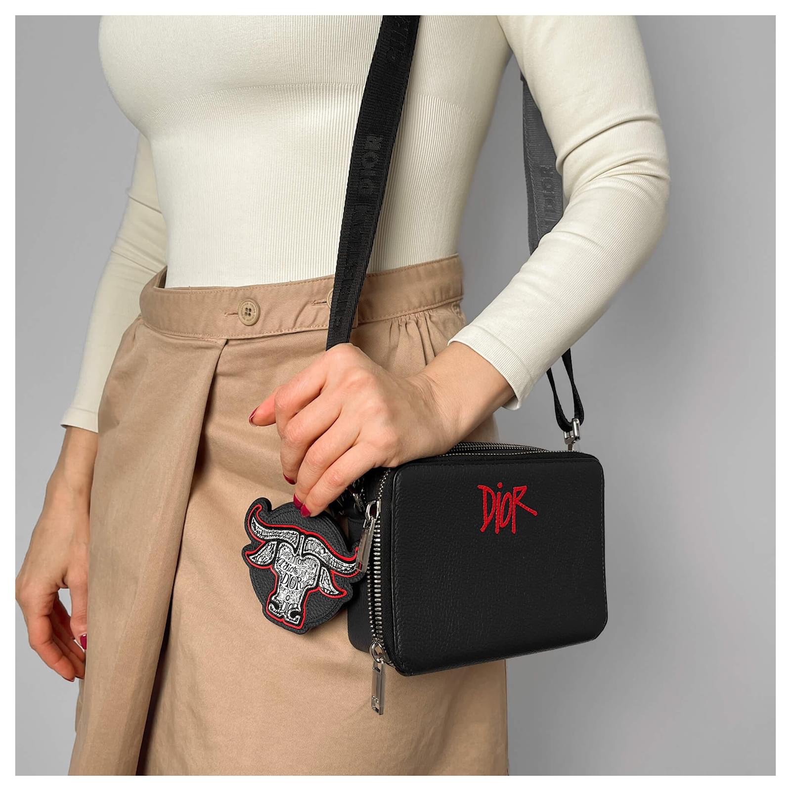 Dior x Shawn Stussy Leather 2-Ways Camera Crossbody Blue ref