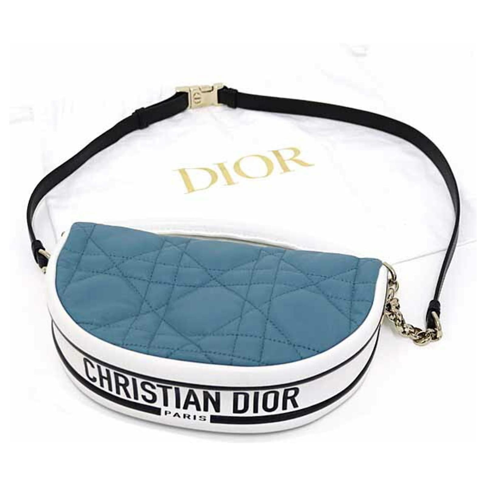 Christian Dior DIOR VIBE Small Hobo Bag Black White Blue Leather