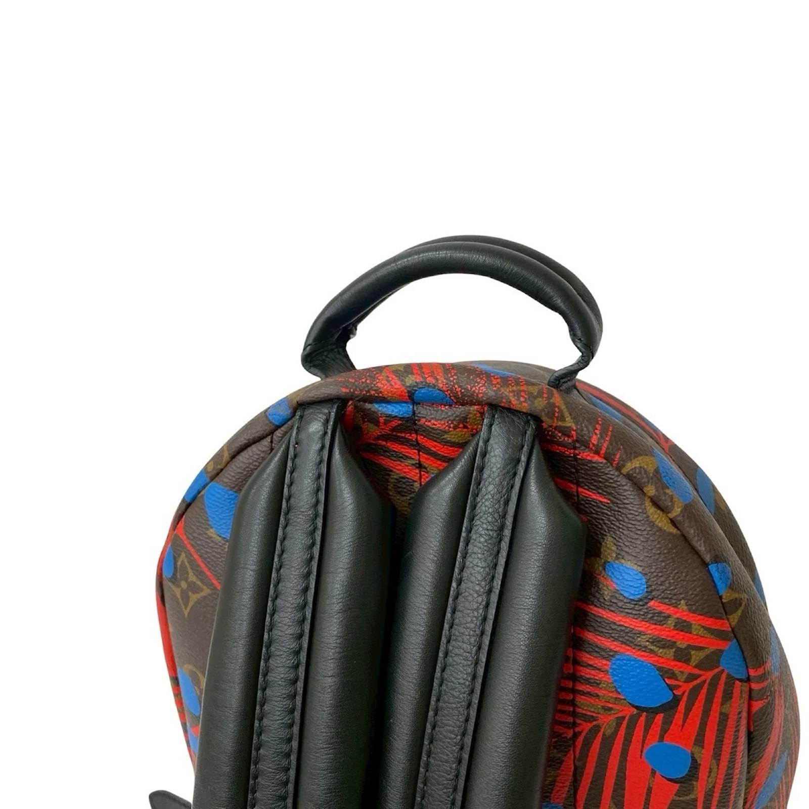 Louis Vuitton Palm Springs Monogram Jungle Dot Leather Backpack Brown Red Blue Plastic ref.2418651