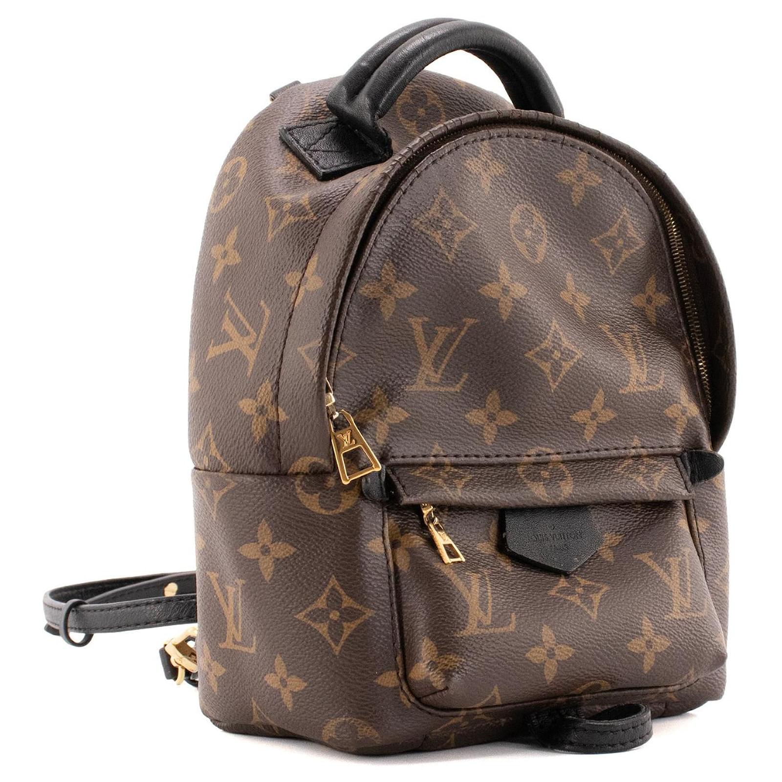 LOUIS VUITTON - Sac  dos Palm Springs Mini Louis Vuitton en toile enduite monogramme Brown Leather  ref.2430839