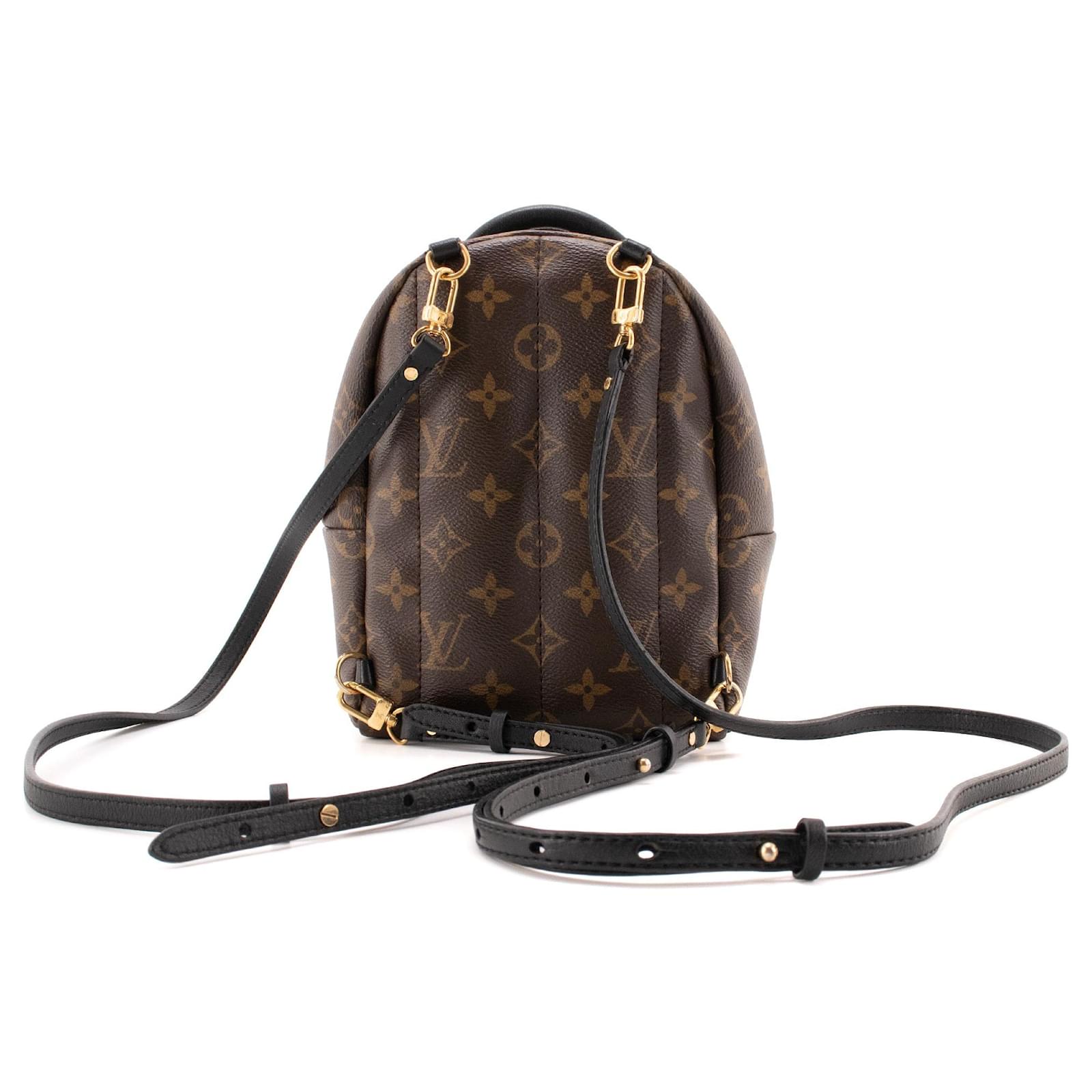 LOUIS VUITTON - Sac  dos Palm Springs Mini Louis Vuitton en toile enduite monogramme Brown Leather  ref.2430839