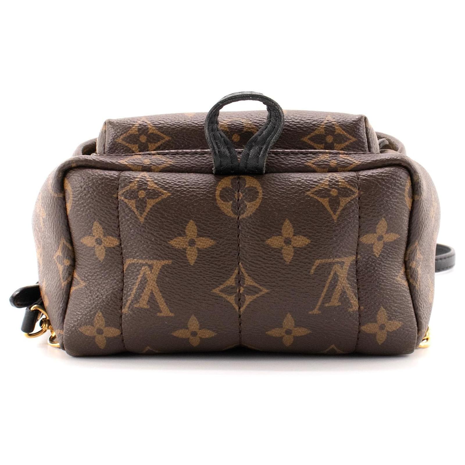 LOUIS VUITTON - Sac  dos Palm Springs Mini Louis Vuitton en toile enduite monogramme Brown Leather  ref.2430839
