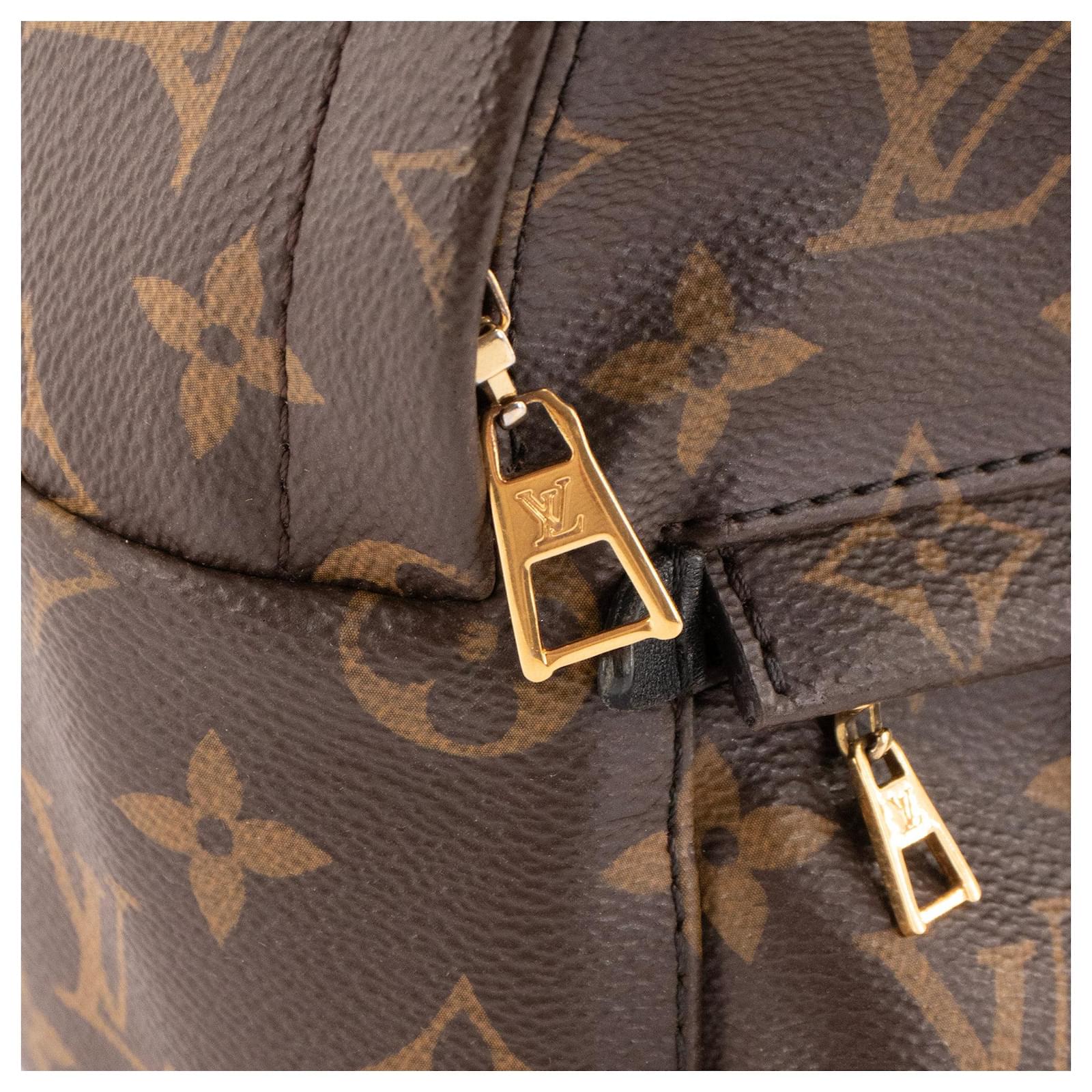 LOUIS VUITTON - Sac  dos Palm Springs Mini Louis Vuitton en toile enduite monogramme Brown Leather  ref.2430839