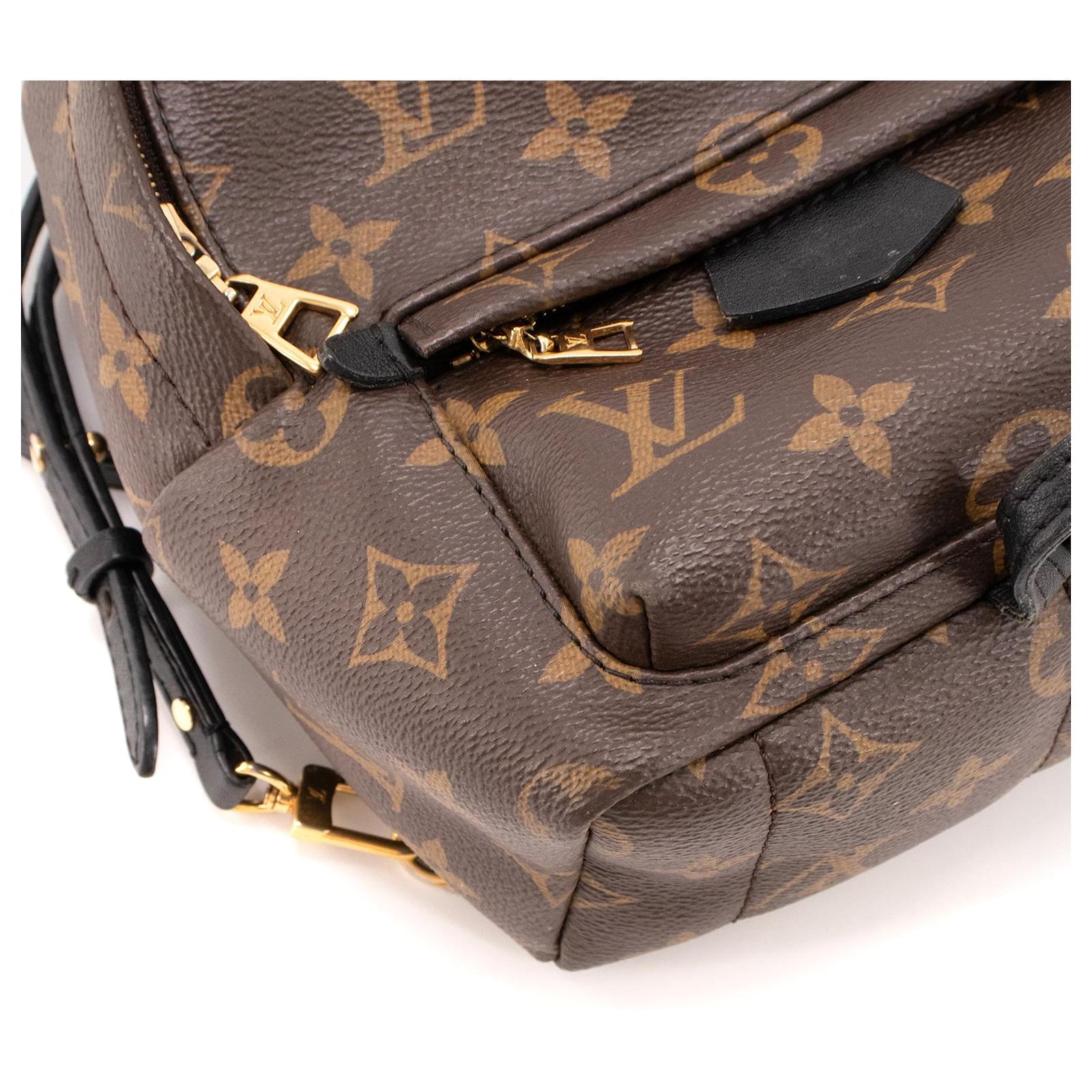 LOUIS VUITTON - Sac  dos Palm Springs Mini Louis Vuitton en toile enduite monogramme Brown Leather  ref.2430839