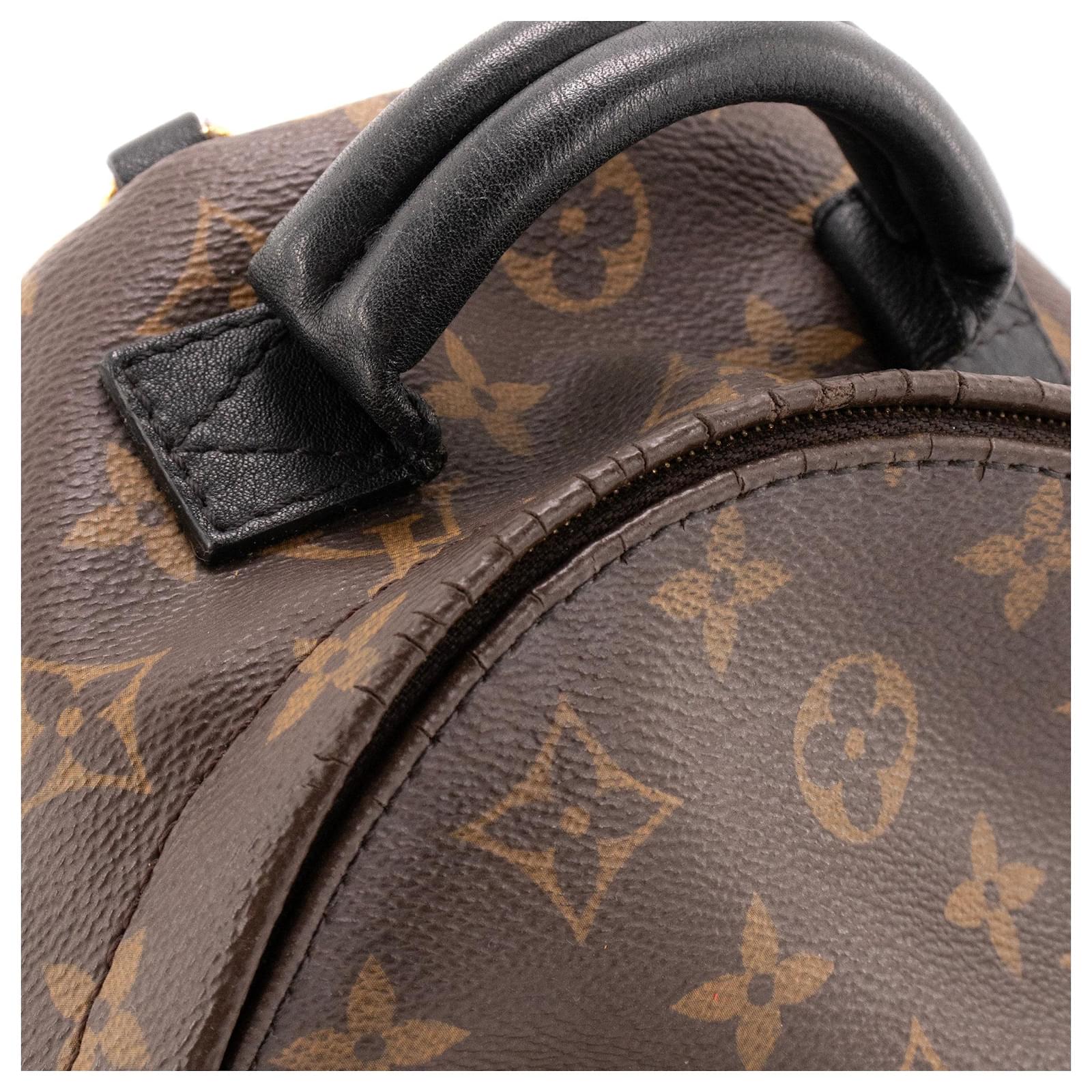 LOUIS VUITTON - Sac  dos Palm Springs Mini Louis Vuitton en toile enduite monogramme Brown Leather  ref.2430839