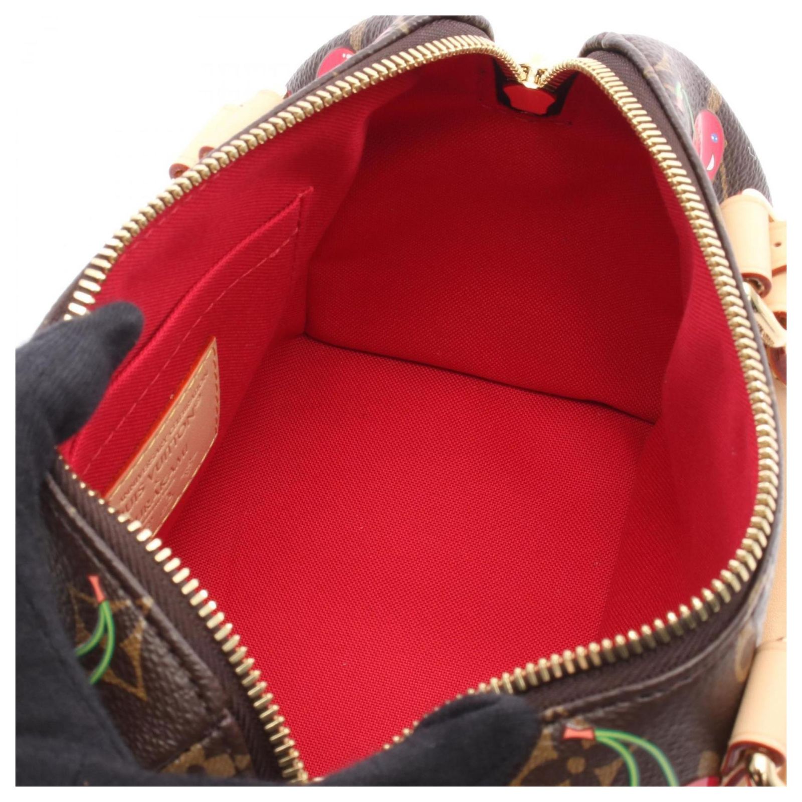 Louis Vuitton x Takashi Murakami Speedy 20 Handbag Brown Monogram