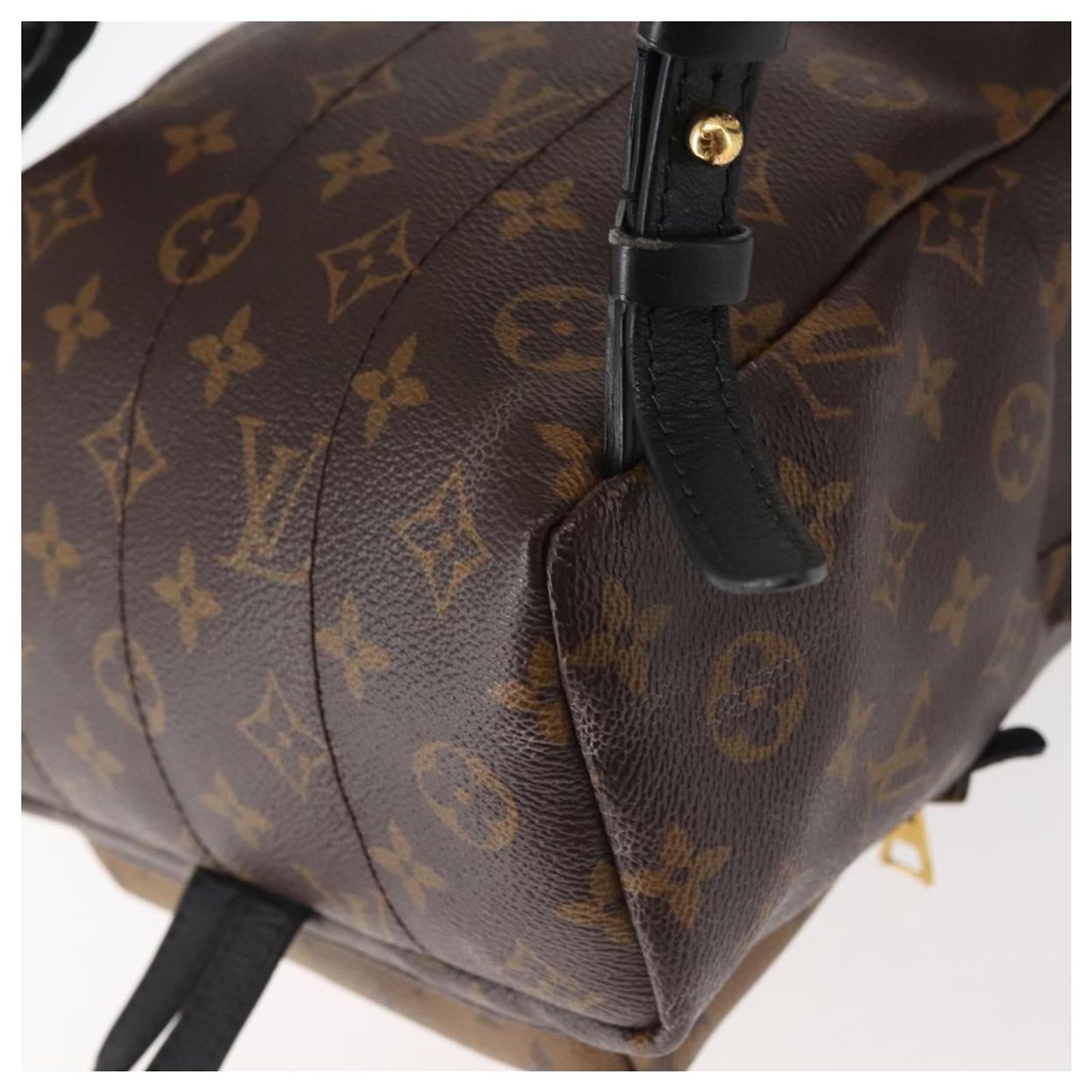 LOUIS VUITTON Monogram Reverse Palm Springs PM Backpack  display picture 3