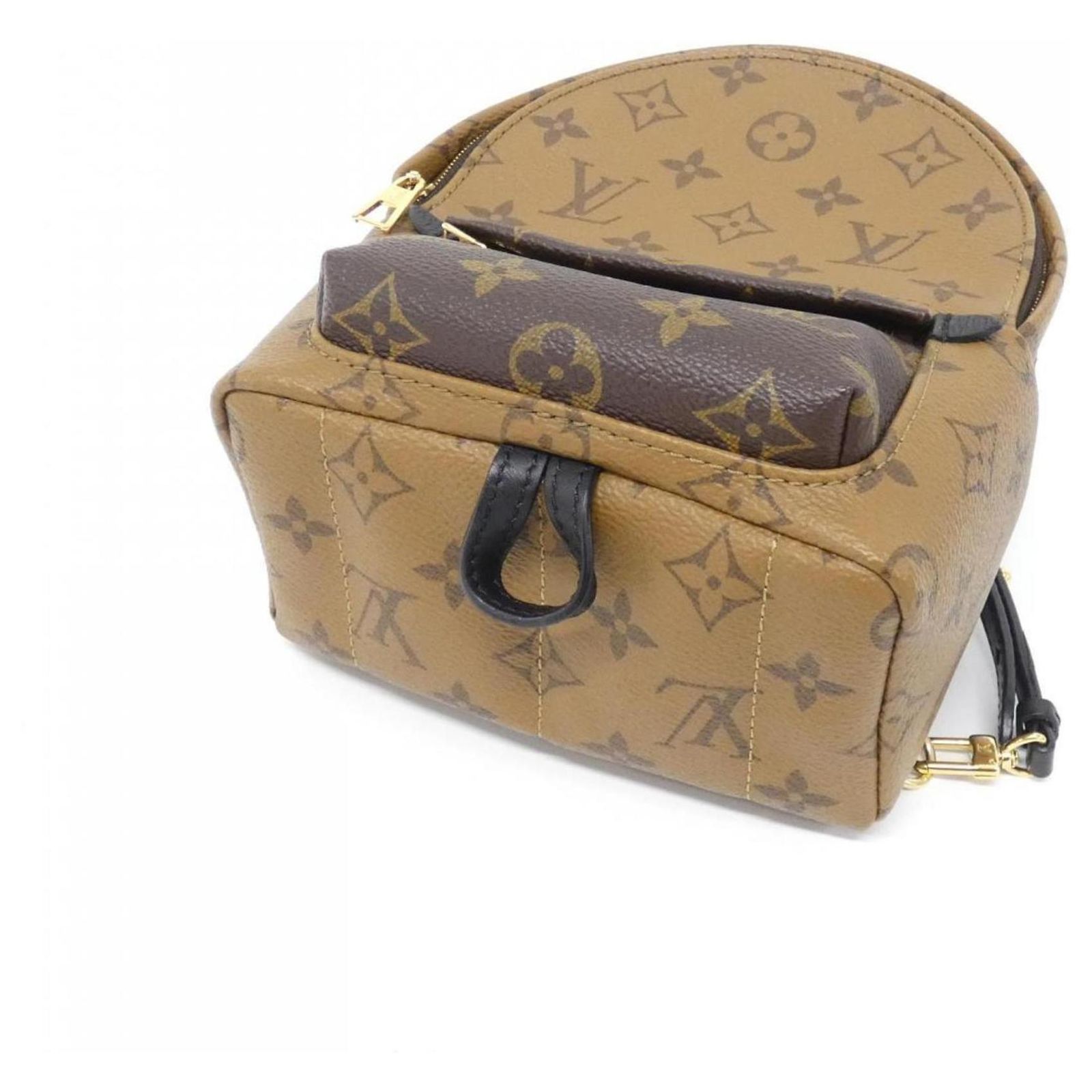 Louis Vuitton Monogram Reverse Palm Springs Backpack Mini  display picture 1