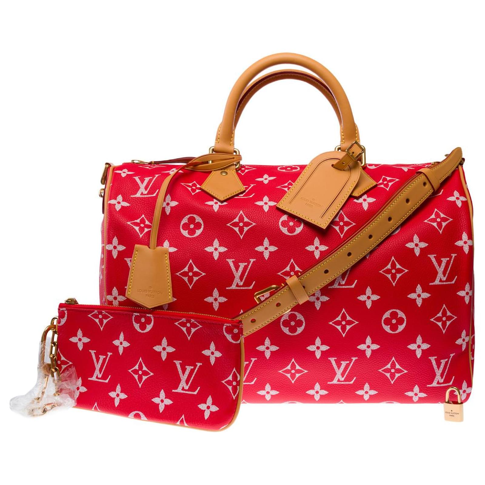 LOUIS VUITTON Speedy Leather Bag in Red - 103016 ref.2617754