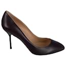 Sergio Rossi Pumps aus braunem Leder