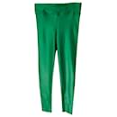 Koral Lustrous Leggings in Green Polyester  - Autre Marque