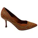 Sergio Rossi Studded Heels in Brown Leather 