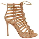 Gianvito Rossi Caged Lace-up Sandals in Nude Patent Leather