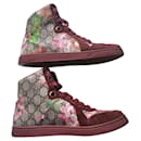 Gucci pink floral bloom