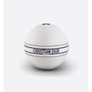 Limited Edition White Logo Technogym Gym Ball for Yoga 128DIOR - Dior