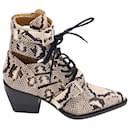 Chloe Rylee Snakeskin Print Boots in Multicolor Leather - Chloé