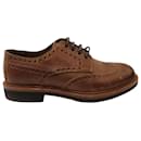 Brunello Cucinelli Pebbled Wing-Tip Shoes in Brown Leather