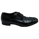 Dolce & Gabbana Wingtip Brogues in Black Leather