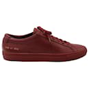 Common Projects Original Achilles Low Top Sneakers in Burgundy Leather - Autre Marque