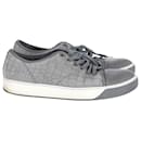 Lanvin Crocodile-Effect Low Top Sneakers in Grey Leather