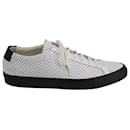 Common Projects Perforated Achilles Low Top Sneakers in White Leather - Autre Marque