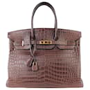 Hermès Matte Gris Elephant Porosus Crocodile Leather Gold Hardware Birkin 35 Bag