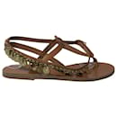 Ancient Greek Sandals Gladiator Sandals in Brown Leather