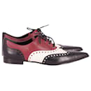 Gucci Pointed Brogues in Multicolor Leather