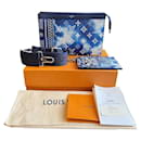 louis vuitton pochette limited edion bag - Louis Vuitton