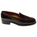 Tod's Pellame Articolo Shoes in Brown Leather