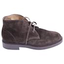 Gianvito Rossi Cohen Chukka Boots in Dark Brown Suede