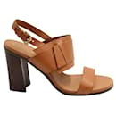 Brown Block Heel Sandals - Tod's